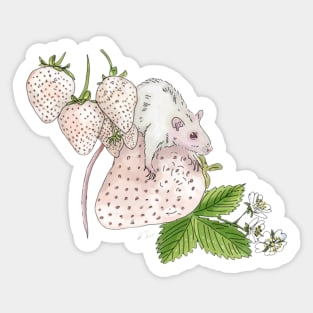 Albino Rats and Strawberries Sticker